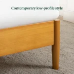 Naya Queen size (5 by 6) Bed - Image 6