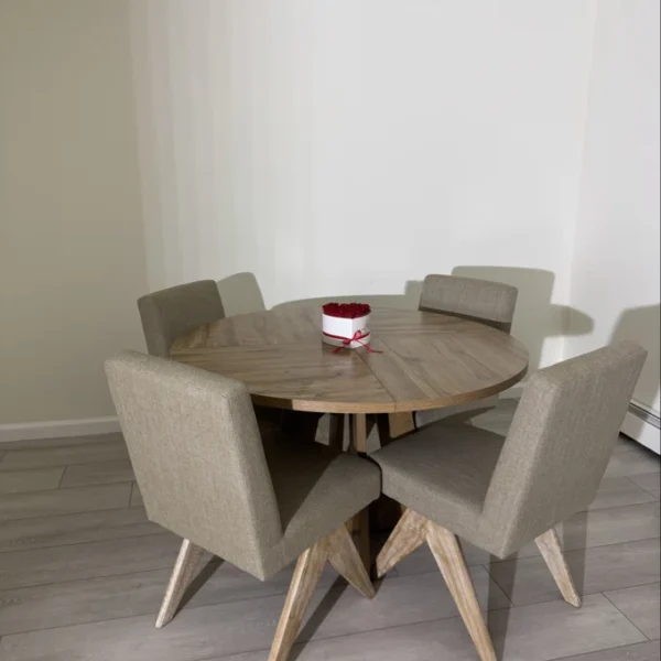 Reko 4 seater Dining Set